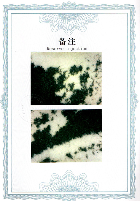 img20250517_10335617.jpg