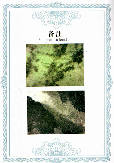img20250521_15423276.jpg