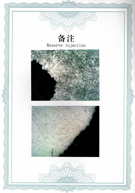 img20250518_10255610.jpg