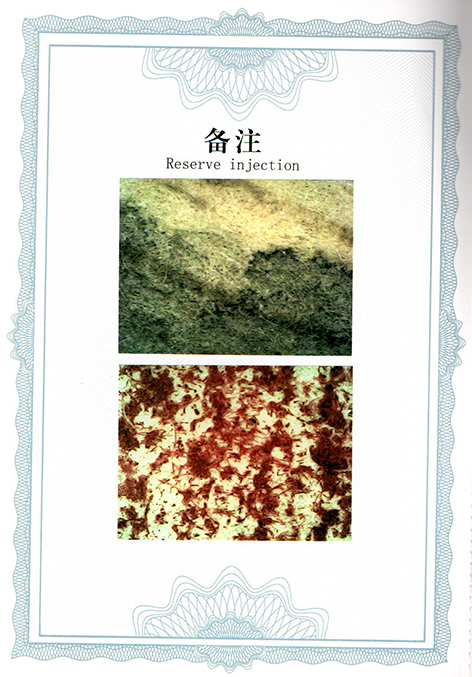 img20250524_09283956.jpg