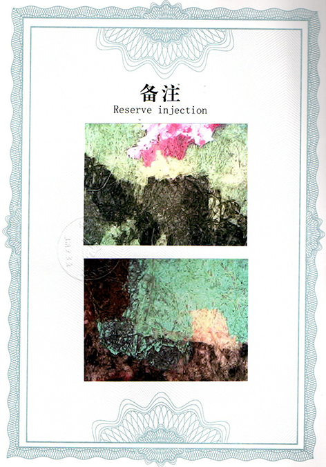 img20250518_14140149.jpg
