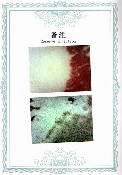 img20250530_13273329.jpg