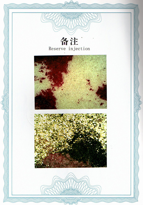 img20250607_12462973.jpg