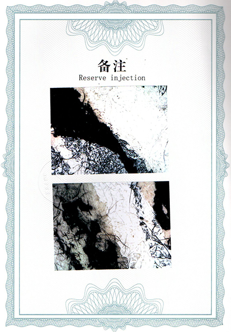 img20250524_13175688.jpg