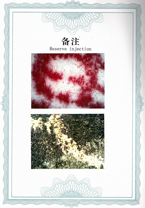 img20250527_18355563.jpg
