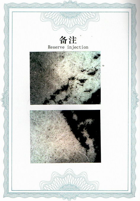 img20250527_18511983.jpg