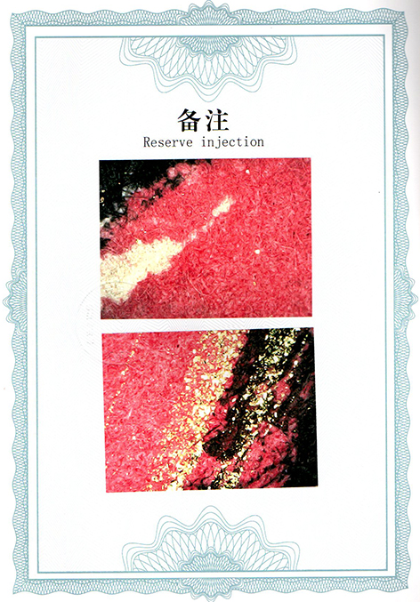 img20250607_11433356.jpg