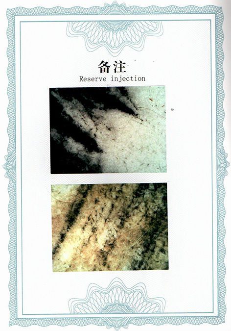 img20250606_17383002.jpg