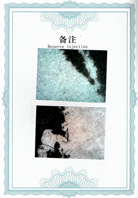img20250607_11462489.jpg