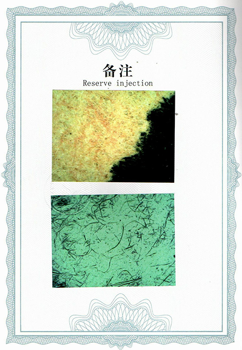img20250607_12001379.jpg