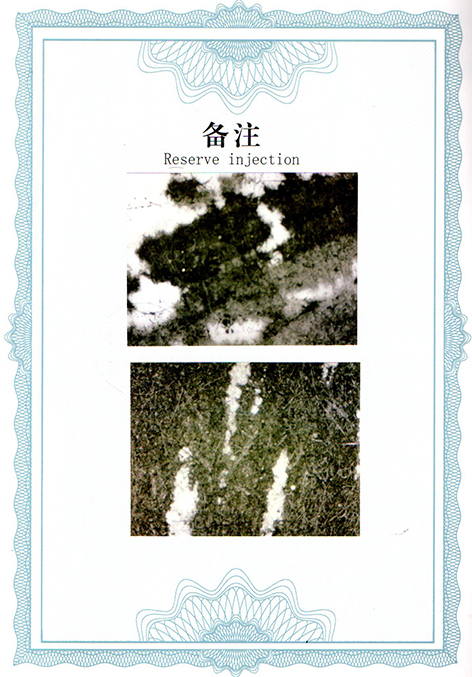 img20250704_14455735.jpg