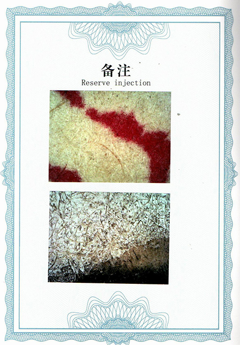 img20250705_10361087.jpg