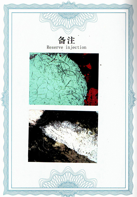 img20250705_10405163.jpg
