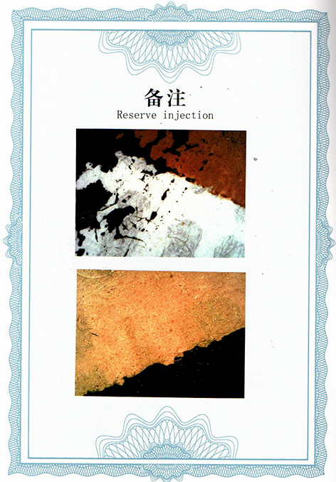 img20250705_10435542.jpg