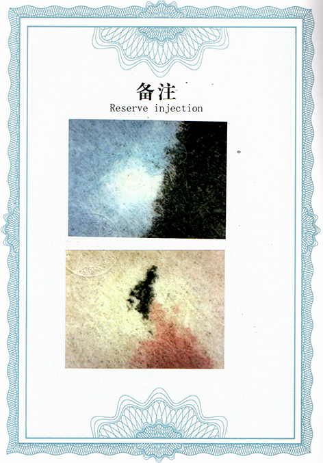 img20250709_08481969.jpg
