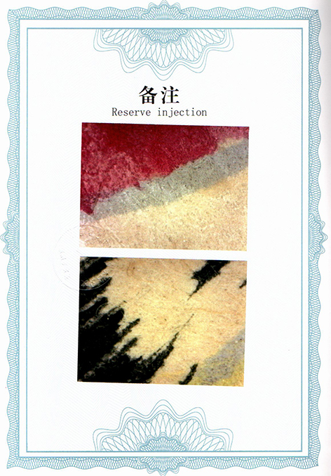img20250705_11561406.jpg