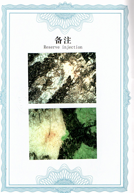 img20250724_16455017.jpg