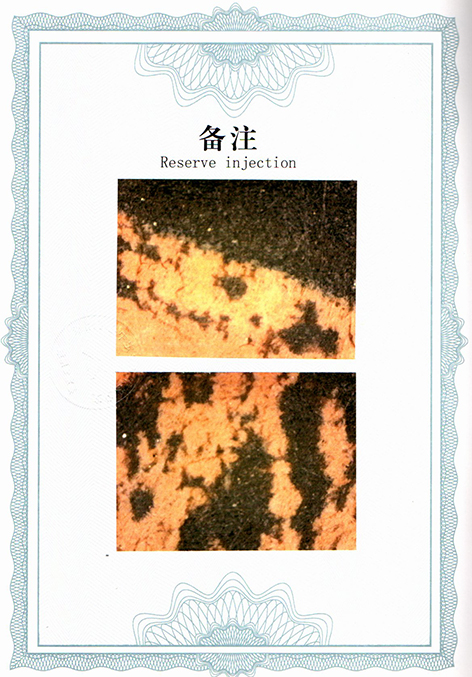 img20250726_15110734.jpg
