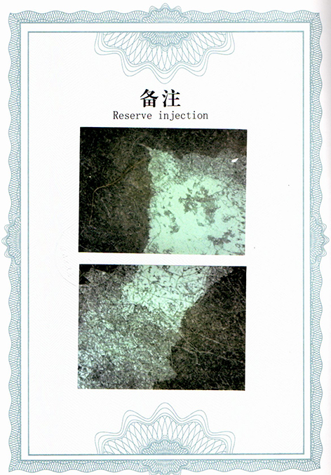 img20250726_15041780.jpg