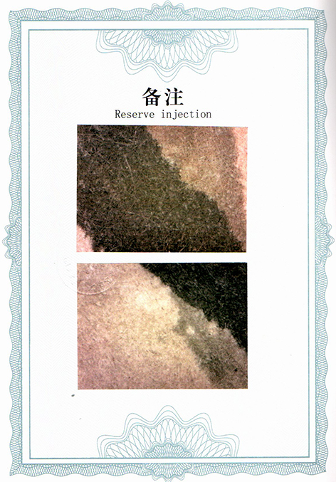 img20250726_15145634.jpg