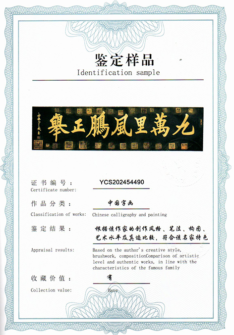 img20250726_15530995.jpg