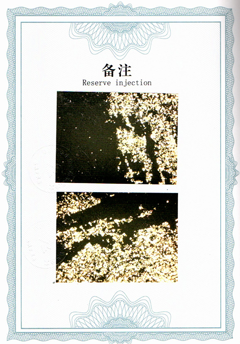 img20250726_15524527.jpg