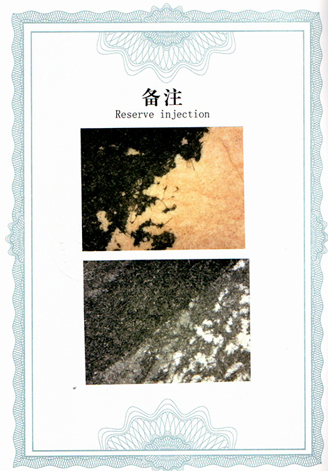 img20250726_15595539.jpg