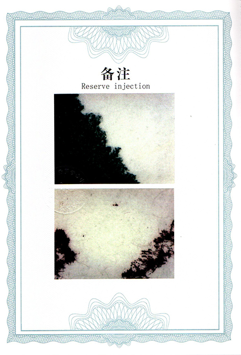 img20250802_14295858.jpg