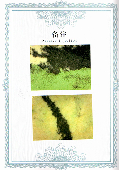 img20250806_08410466.jpg