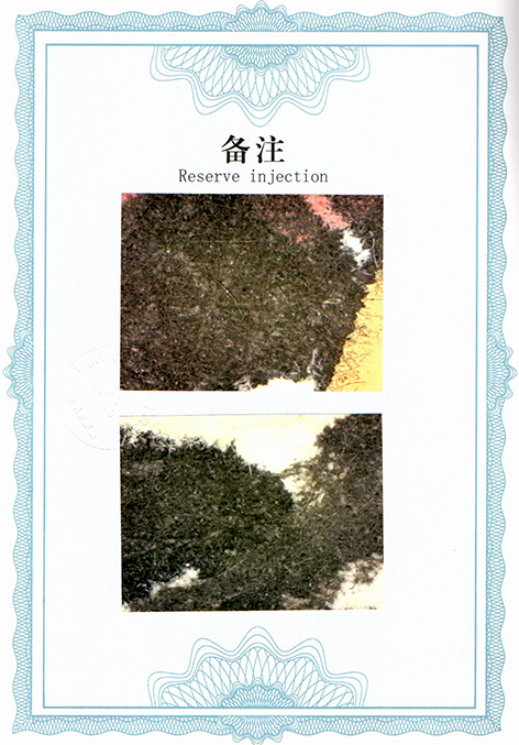 img20250806_09494460.jpg