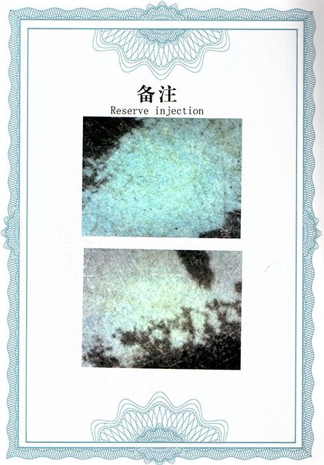 img20250824_09144536.jpg