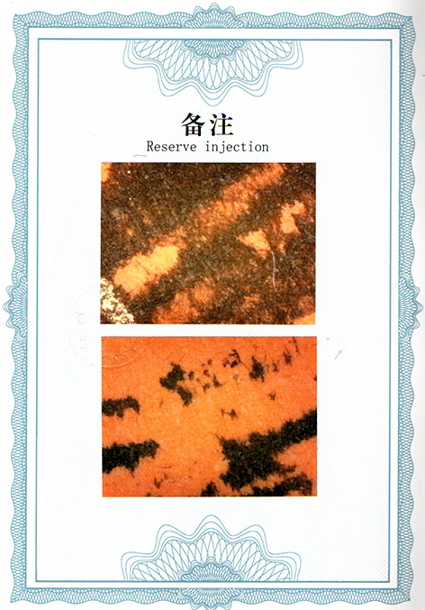 img20250904_10372707.jpg