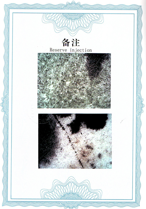 img20250829_15180348.jpg