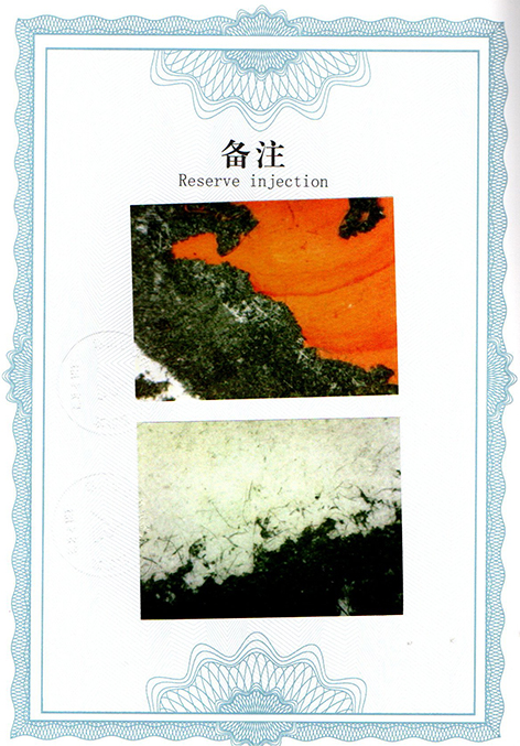 img20250917_10251538.jpg
